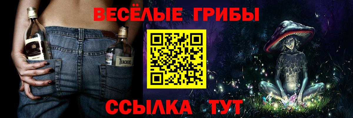 Видное  Галлюциногенные грибы Cubensis  Вход с VPN 