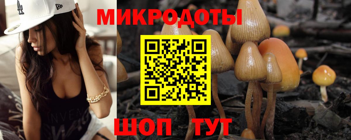 Псилоцибиновые грибы мицелий Видное