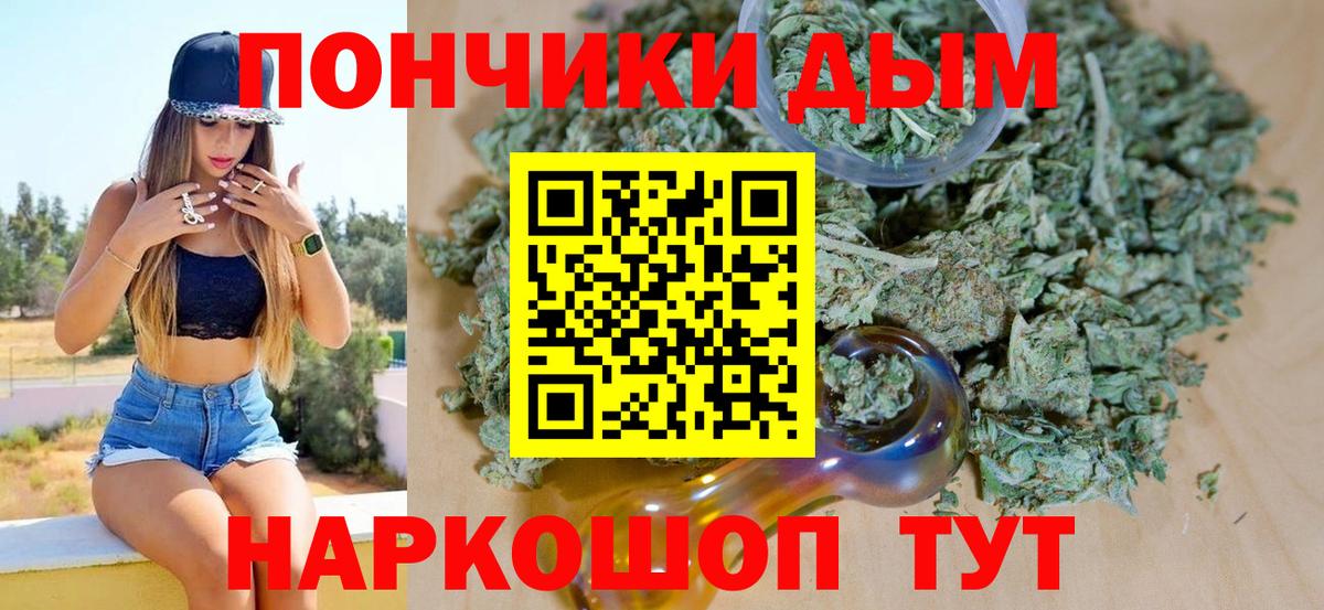 Каннабис индика  Конопля гибрид  Марихуана план  Видное  Вход с VPN 